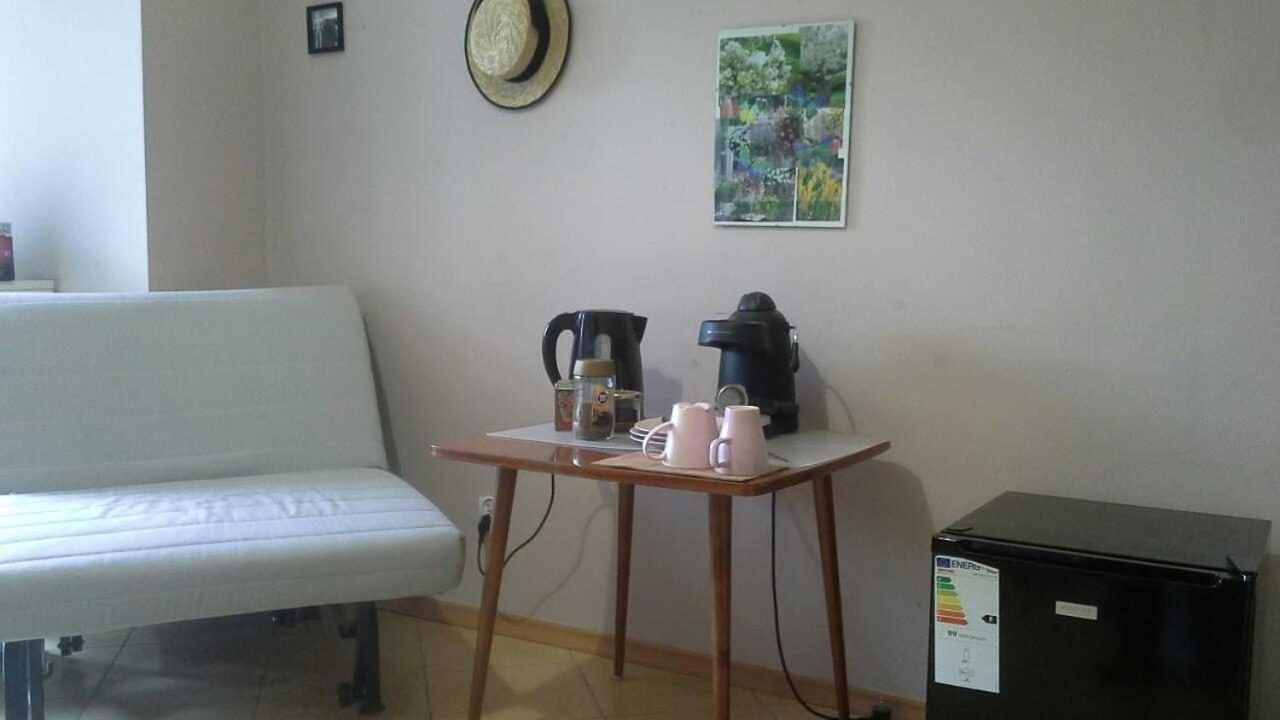 Apartament Paderewski Πόζναν Εξωτερικό φωτογραφία